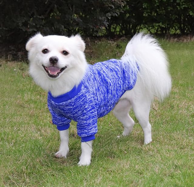 Foto 4 de 6 de HuaLiSiJi 5XL Jersey Perro Grande Sudadera para Perro Grande Ropa para Perros Grandes,Cálido y Ligero