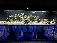 Review Image by SailFin7