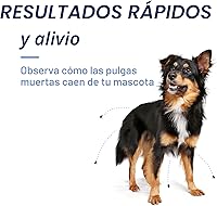 Vista 6 de PetArmor CAPACTION (nitenpiram) Tratamiento oral contra pulgas para perros, tabletas de acción rápida comienzan a matar pulgas en 30 minutos, perros
