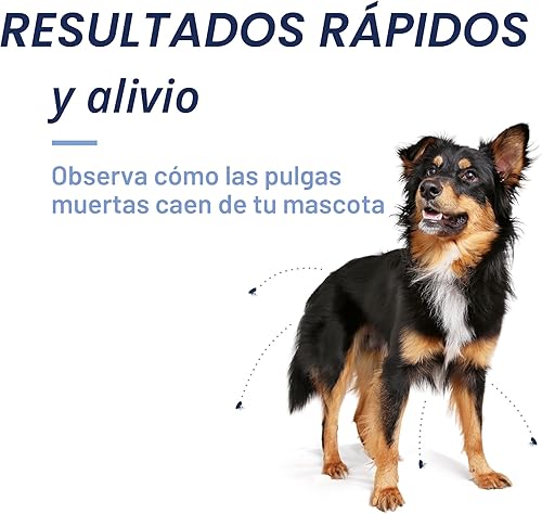 Miniatura 6 de PetArmor CAPACTION (nitenpiram) Tratamiento oral contra pulgas para perros, tabletas de acción rápida comienzan a matar pulgas en 30 minutos, perros