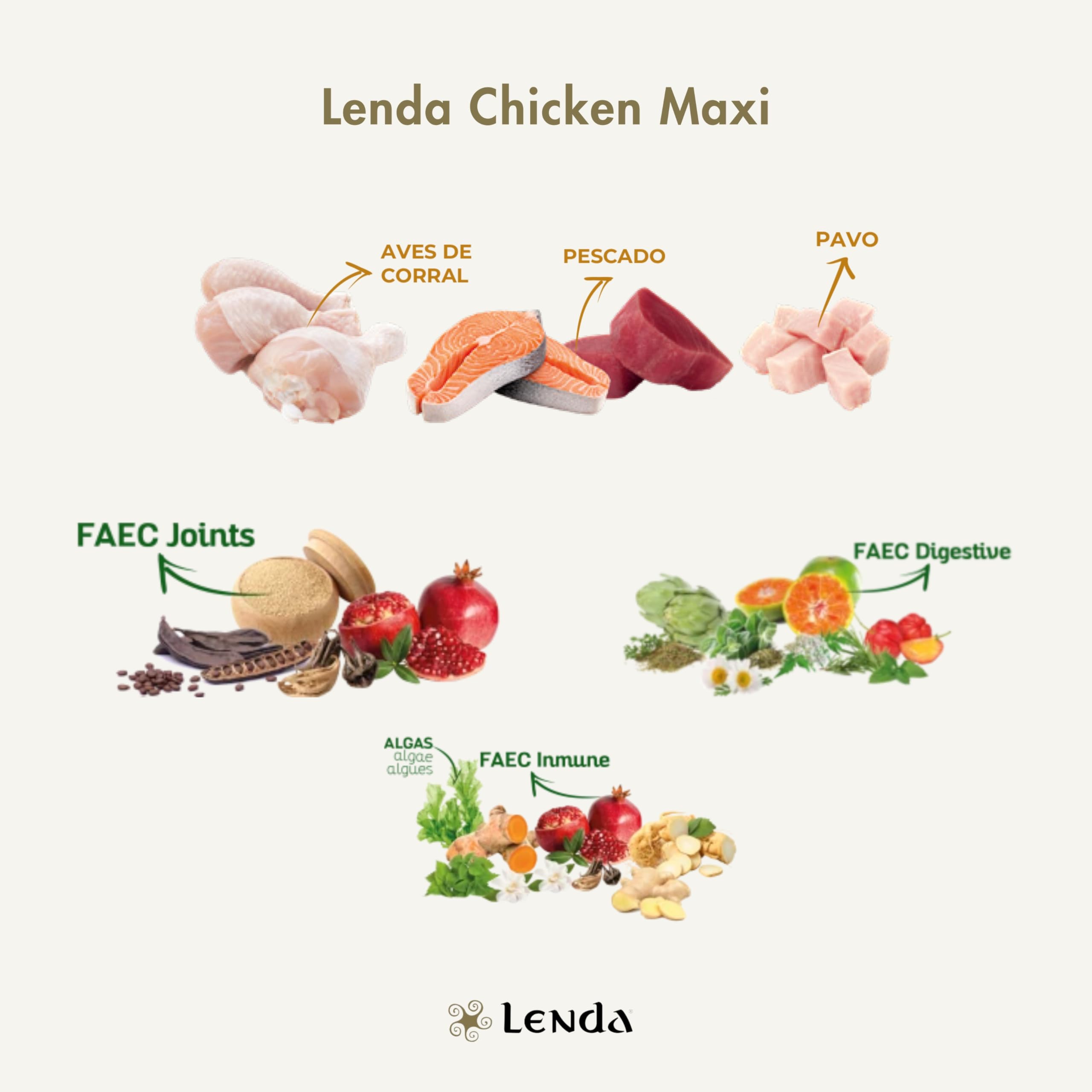 Lenda Chicken Maxi 12kg - Pienso para Perros Jóvenes y Adultos | Razas Grandes y Gigantes | Comida para Perros Grandes Rica en Pollo | Natural