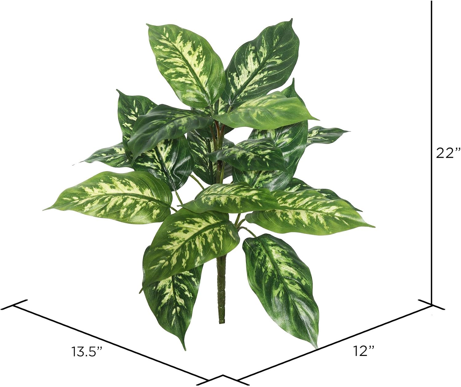 Vickerman 22" Artificial Green Dieffenbachia Plant 2 Pack - Faux Indoor Plant Spray - Greenery for Home Or Office Decor - Maintenance Free