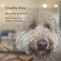 Vista 5 de MAGNIFICENT 101 Vela Seven Chakra Smudge – lata de cera de soja de 6 onzas – Quemadura de 35 horas y aromaterapia – Limpieza energética y equilibrio