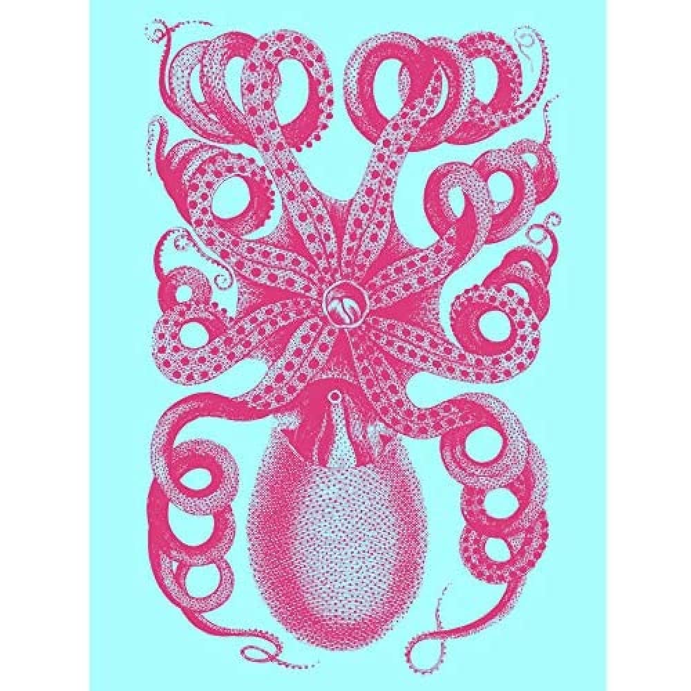 Wee Blue Coo Pink Octopus Blue Unframed Art Print Poster Wall Decor 12X16 Inch