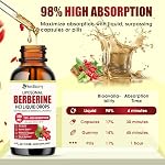 Suppléments berbères 500mg - Soutient les lipides sains (fat), les taux de sucre dans le sang & Glucose Métabolisme - Berbérine liquide de haute puissance - Une tierce partie testée pour son pouvoir & Pureté - Qualité assurée 120 ML