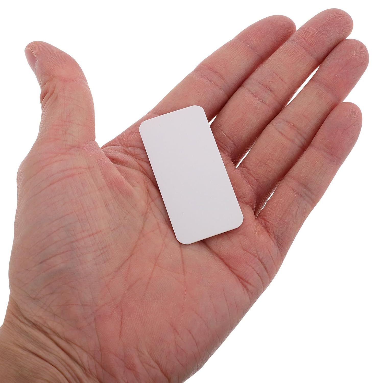 BETOOKY 100pcs Insect Specimen Mounting Cards for Laboratory Use with Precise Positioning and Portable Size Plastic Display Boards for Amateur and Professional Entomologists