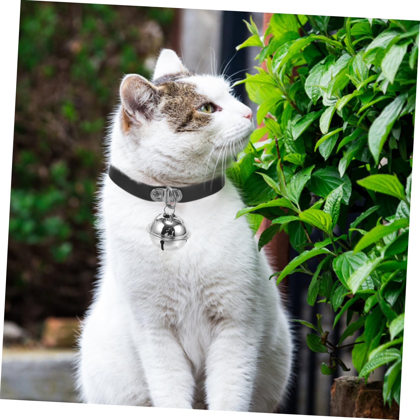 Toddmomy Collier pour Chiens PU avec Clochette Collier Ajustable Style Punk pour Chiots Et Chats Accessoire pour Animaux De Compagnie