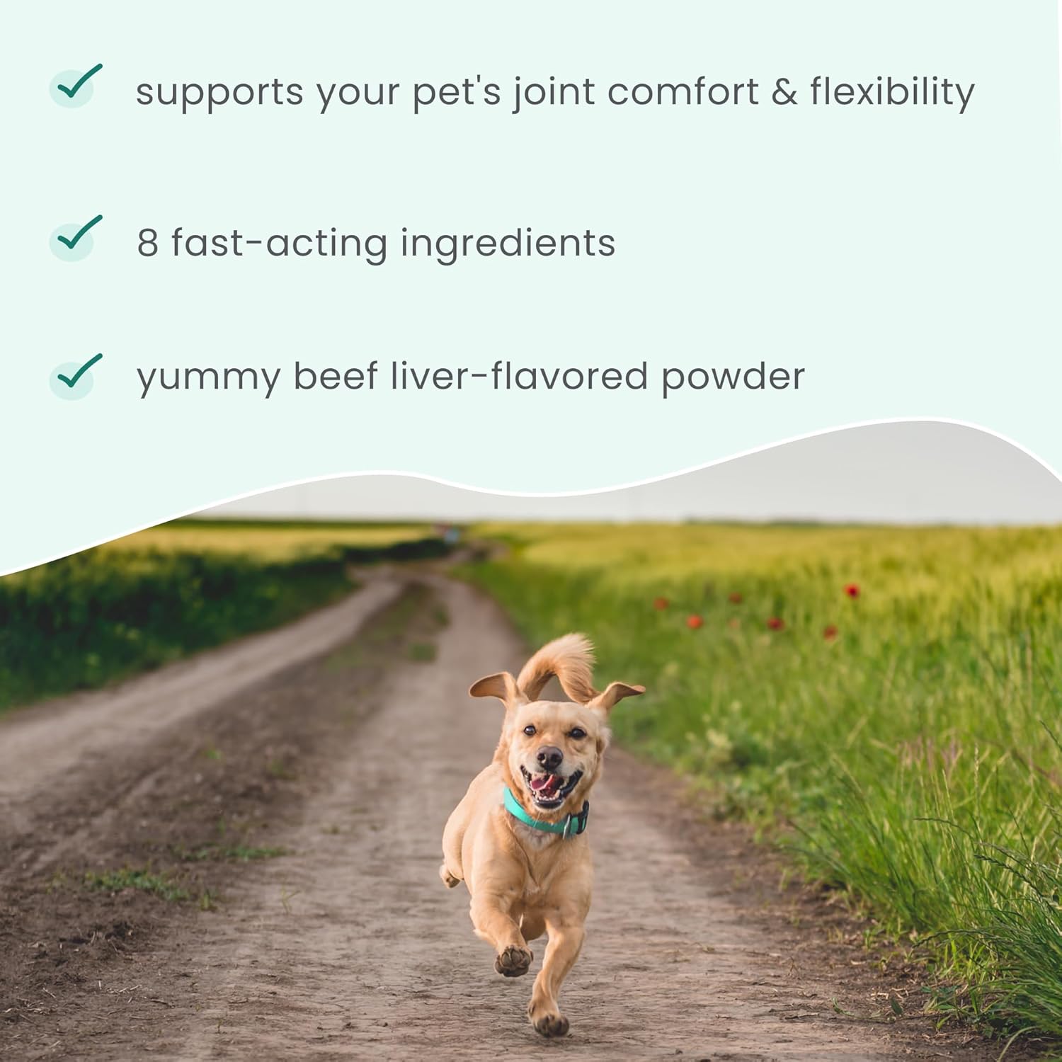 Dr. Mercola Bark & Whiskers Joint Support - Joint & Cartilage Support for Cats & Dogs - with Collagen, MSM, Green-Lipped Mussel Extract & Hyaluronic Acid - 1.69 oz