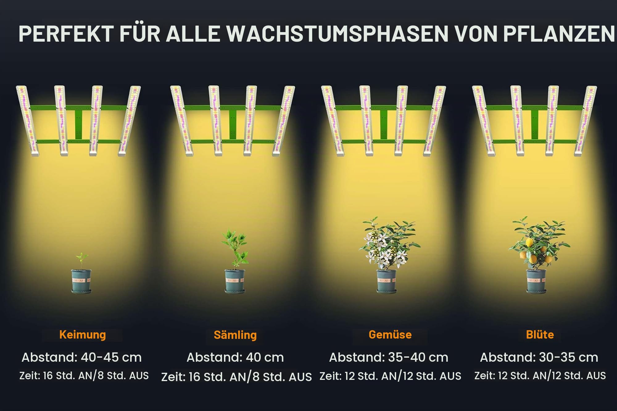 DragonLight 2024 Neueste MW4000 Pflanzenlampe LED Vollspektrum mit UV IR 200W LED Grow Lampe mit 3-Meter-Kabel für Gewächshaus und Zimmerpflanzen Gemüse Blume für Growzelt 90x90cm 120x120cm