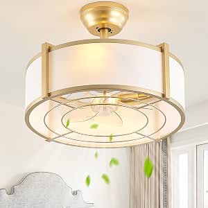 SYDACG 20" Caged Ceiling Fan with Lights, Gold Fandelier Ceiling Fan with Remote Control, 6 Speeds for Bedroom, Nursery, Living Room