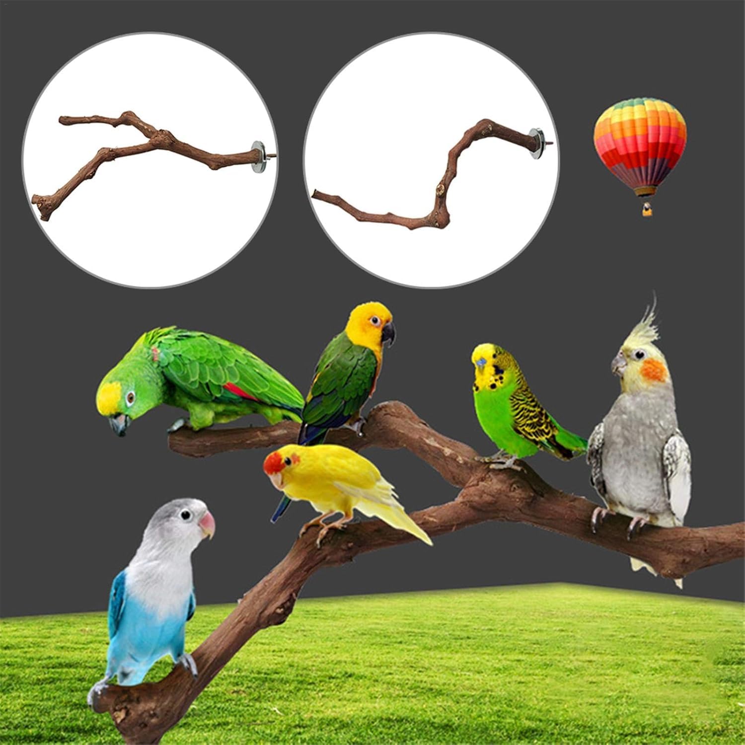 Juguete Percha De Madera De UVA Silvestre Natural para Pájaros, Perchas De Madera Natural para Periquitos, Canarios Y Otras Aves, Accesorios Esenciales para Jaulas De Pájaros. 15cm 80g