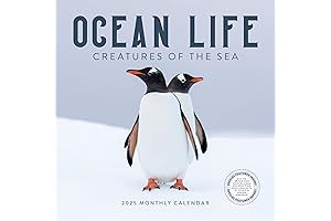 Ocean Life Calendar 2024 | Dive into the Blue with Our Enchanting Calendar