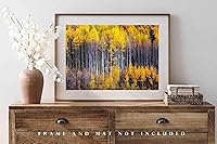 Vista 4 de Forest Photography Print (Not Framed) Picture of Aspen Trees Appearing as Reflection on Side of Mountain on Autumn Day at Maroon Bells Colorado