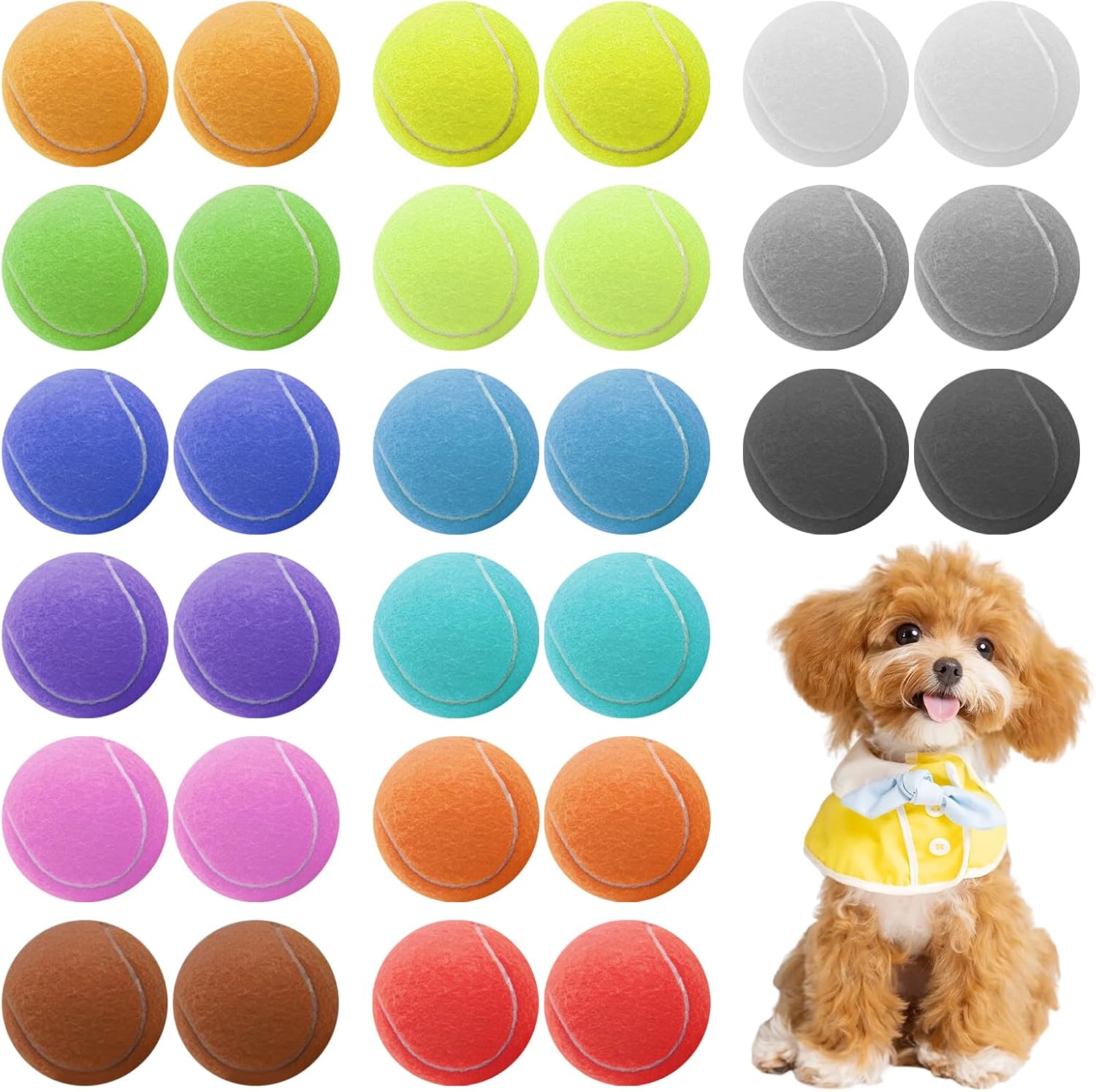 30 Pcs Dog Tennis Balls Bulk, 2.5 Inch Training Tennis Ball Pet Playing Ball Colored Mini Pet Balls for Large Medium Small Puppy Training Exercis, 15 Colors