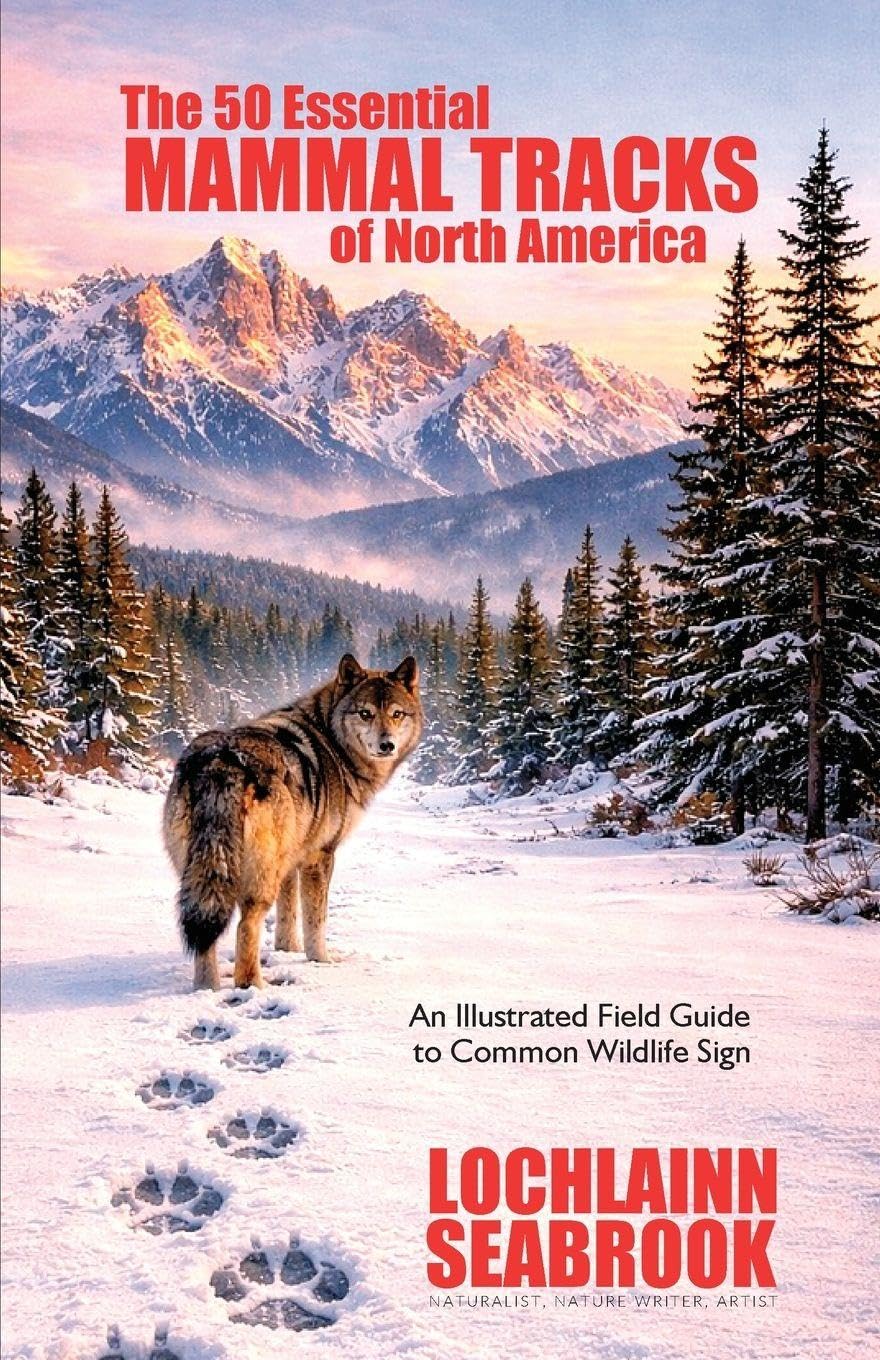 The 50 Essential Mammal Tracks of North America: An Illustrated Field Guide to Common Wildlife Sign