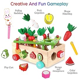 Toddlers Montessori Wooden Educational Toys for Baby Boys Girls Age 1 2 3 Year Old, Shape Sorting Toys 1st One First Birthday Girl Gifts for Kids 1-3, Wood Preschool Learning Fine Motor Skills Game