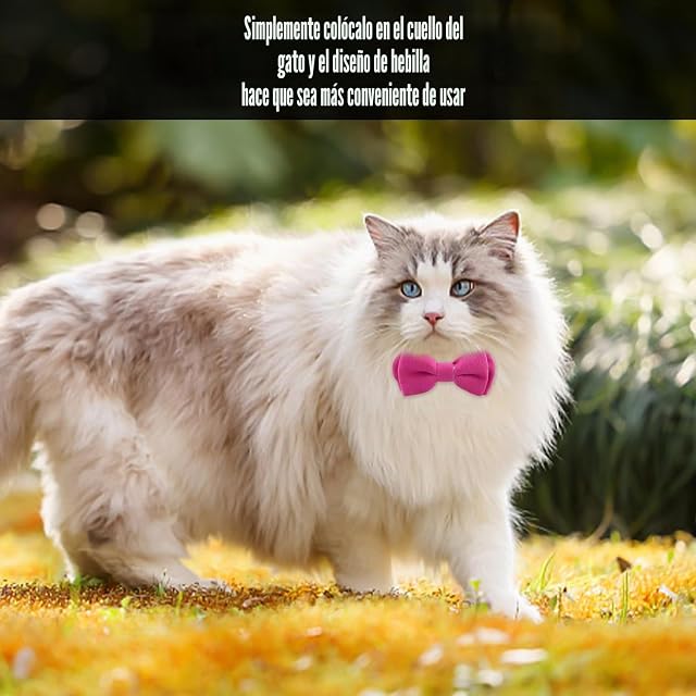 Foto 5 de 6 de FDGGT Collar De Lazo De 3 Uds, Collar Ajustable para Mascotas, Lindo Collar De Gato