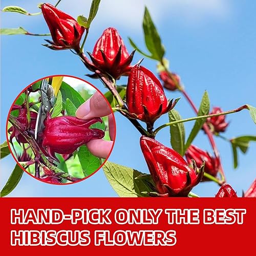 Miniatura 4 de Bolsas de té de hibisco premium, 60 unidades, flores de hibisco secas 100% puras y naturales, sin azúcar, sin cafeína, sin gluten, veganas. Tarta y