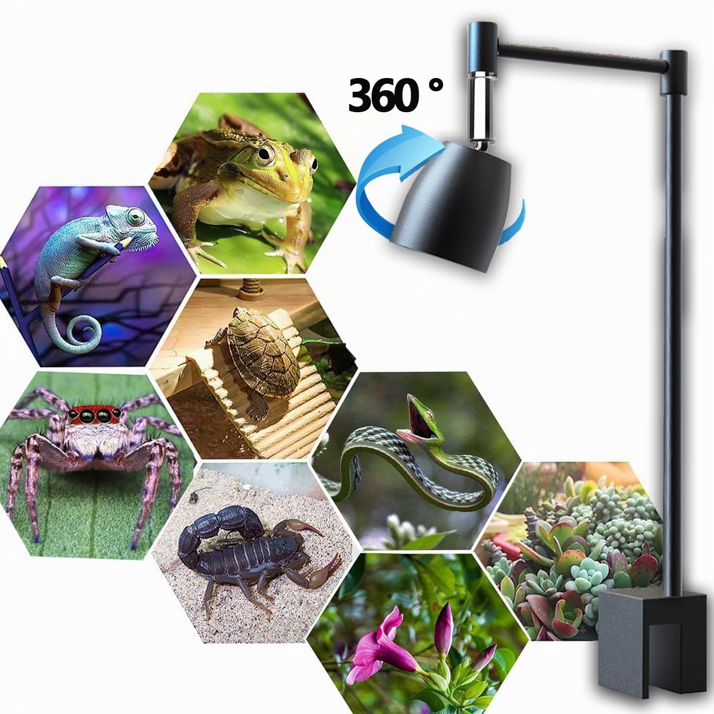 QeeHeng] Supporto Lampada Rettili Regolabile 360° in Metallo per UVA/UVB e Calore - per Terrario e Acquario Tartarughe