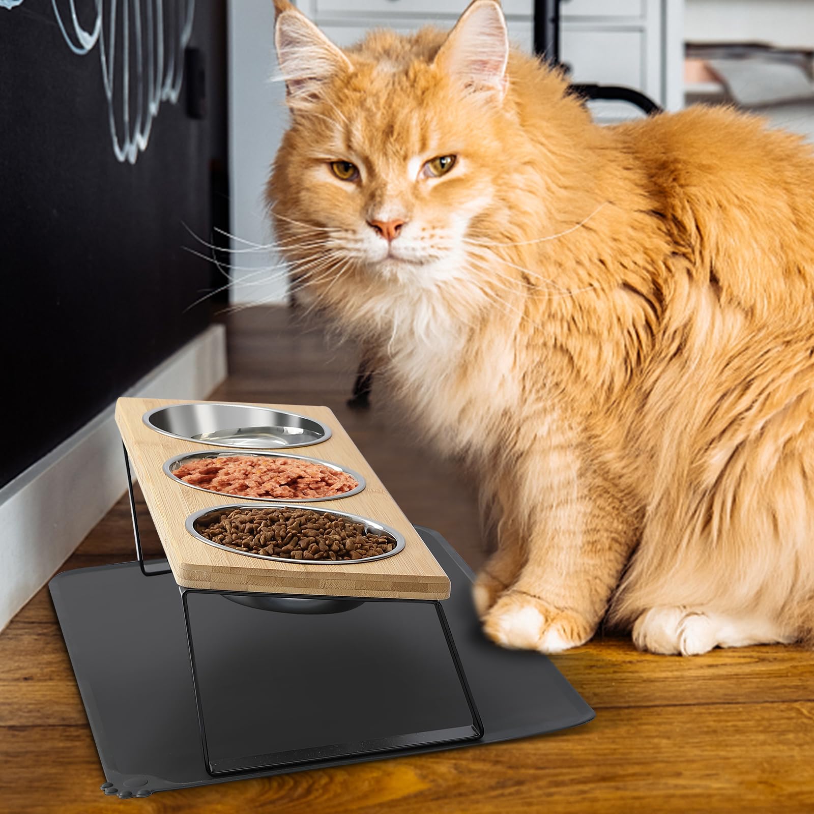 Cat 3et Comedero para gatos elevado, cuenco para gatos elevado, doble comedero para gatos, inclinación, comedero para gatos y perros
