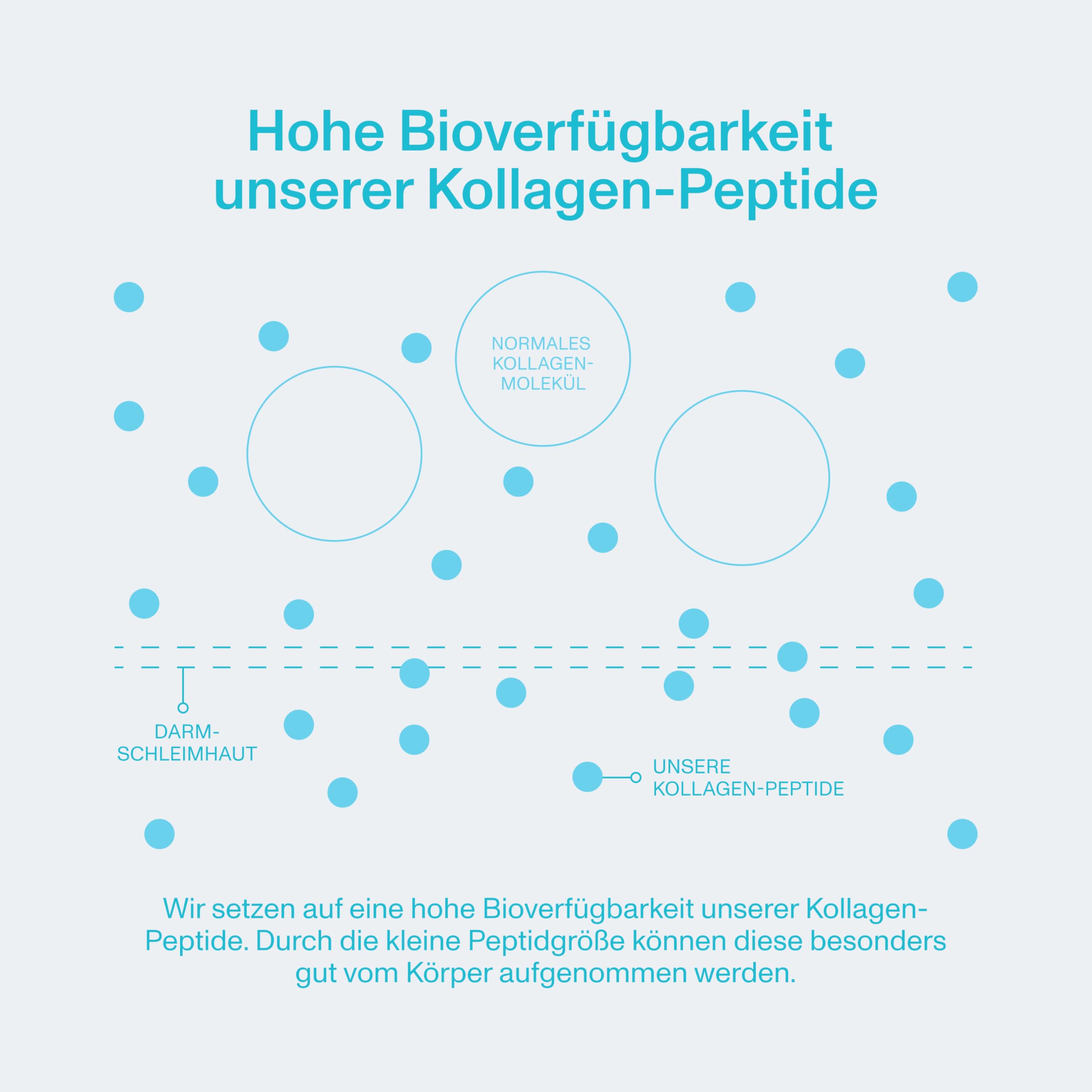 Vital Proteins Kollagen Duo - Peptides 587g & Marine Kollagen | Geschmacksneutrale Kollagenpeptide & marines Kollagen, hydrolysiert Typ I & III, optimale Löslichkeit.