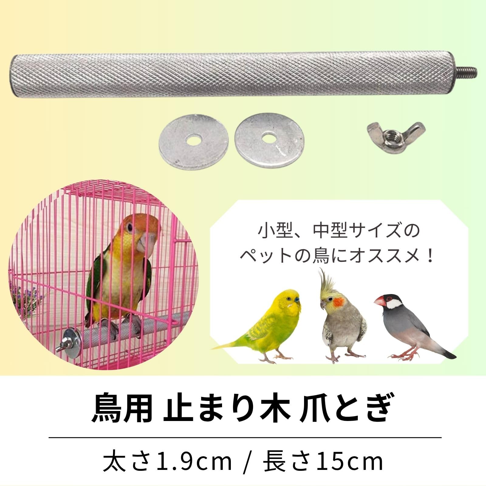 猛禽類用パーチ 止まり木 ステンレス Amazon.co.jp: 鳥用 止まり