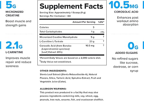 Miniatura 33 de LEGION Recharge Post Workout Suplemento – Bebida natural de construcción muscular y recuperación con monohidrato de creatina micronizada