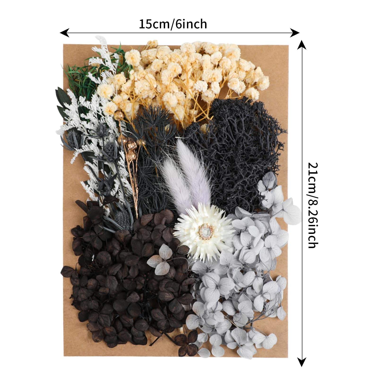 Fleurs Séchées Naturelles – Lot Pour Scrapbooking, Décoration Mariage, Arrangement Floral – Couleur Noir - 9