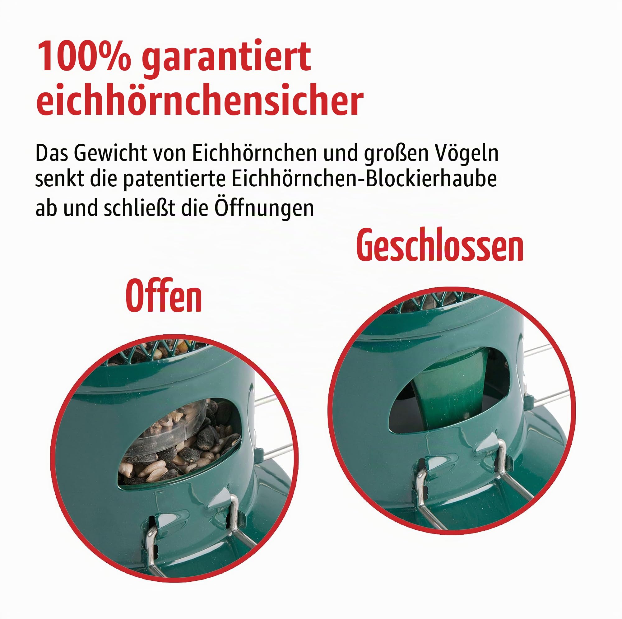 The Squirrel Buster Vogelfutterstation, eichhörnchensicher