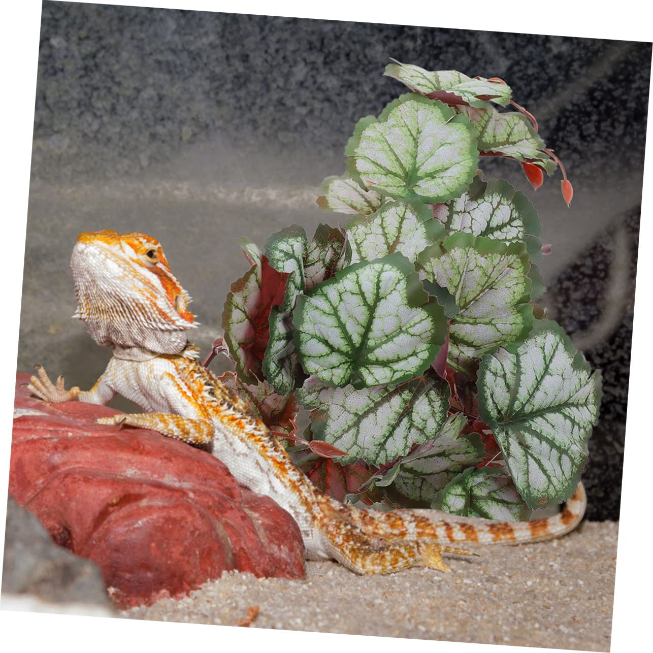POPETPOP 4 Stück Saugnäpfe Zum Aufhängen Von Pflanzen Wohnkultur Zubehör Für Aquarien Blatt Für Reptilienterrarium Monstera-Pflanze Kunstpflanzen Aquarium Plastik Künstliche Wasserpflanzen