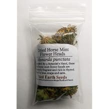 Horsemint Dried Flower Heads for Tea