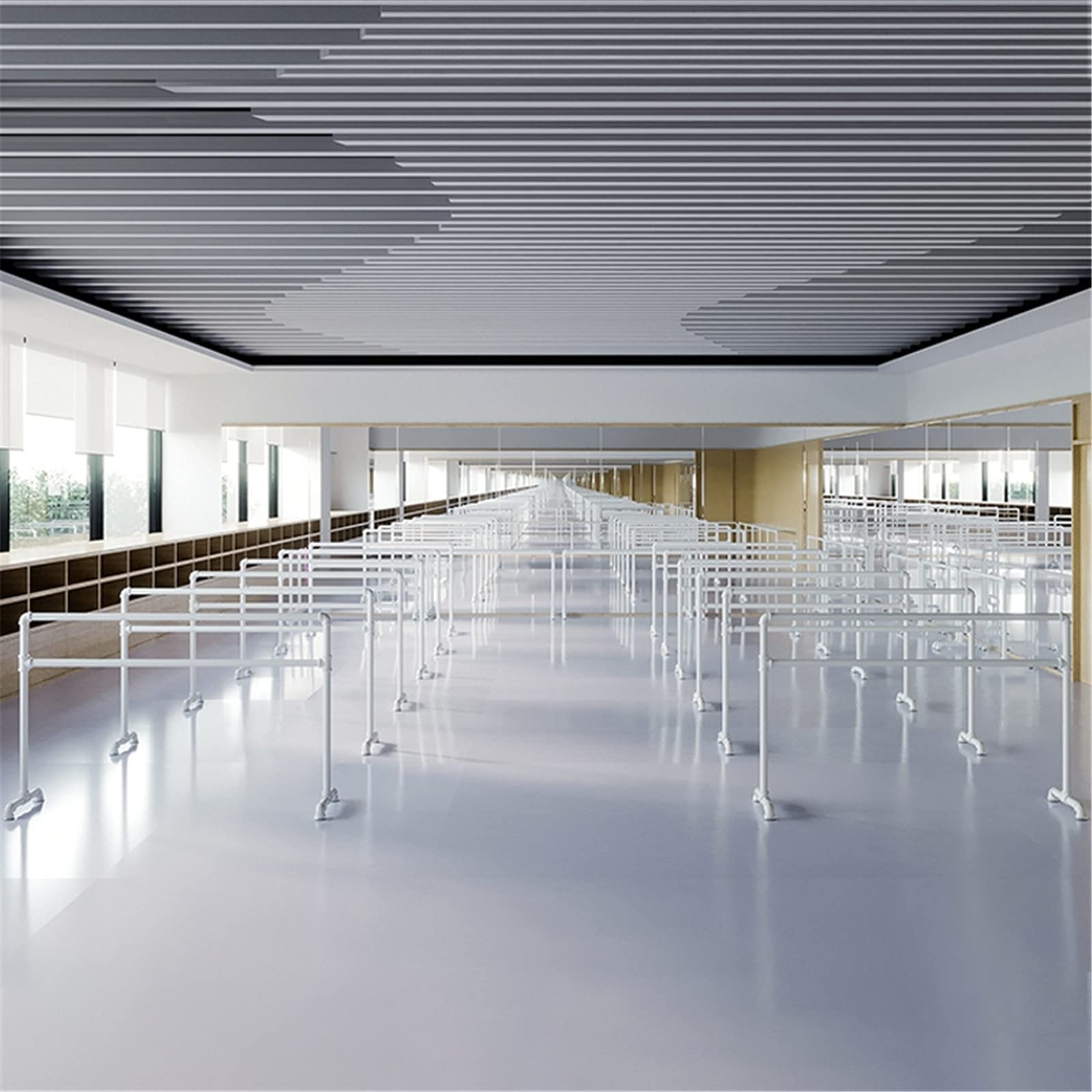 Sbarra da Balletto Regolabile Indipendente da Esterno, Sbarra da Balletto Portatile per la casa, Bambini, Adulti, per Stretching, Equilibrio, Danza o Esercizio Fisico (Dimensioni: 100 cm, Colore: A)