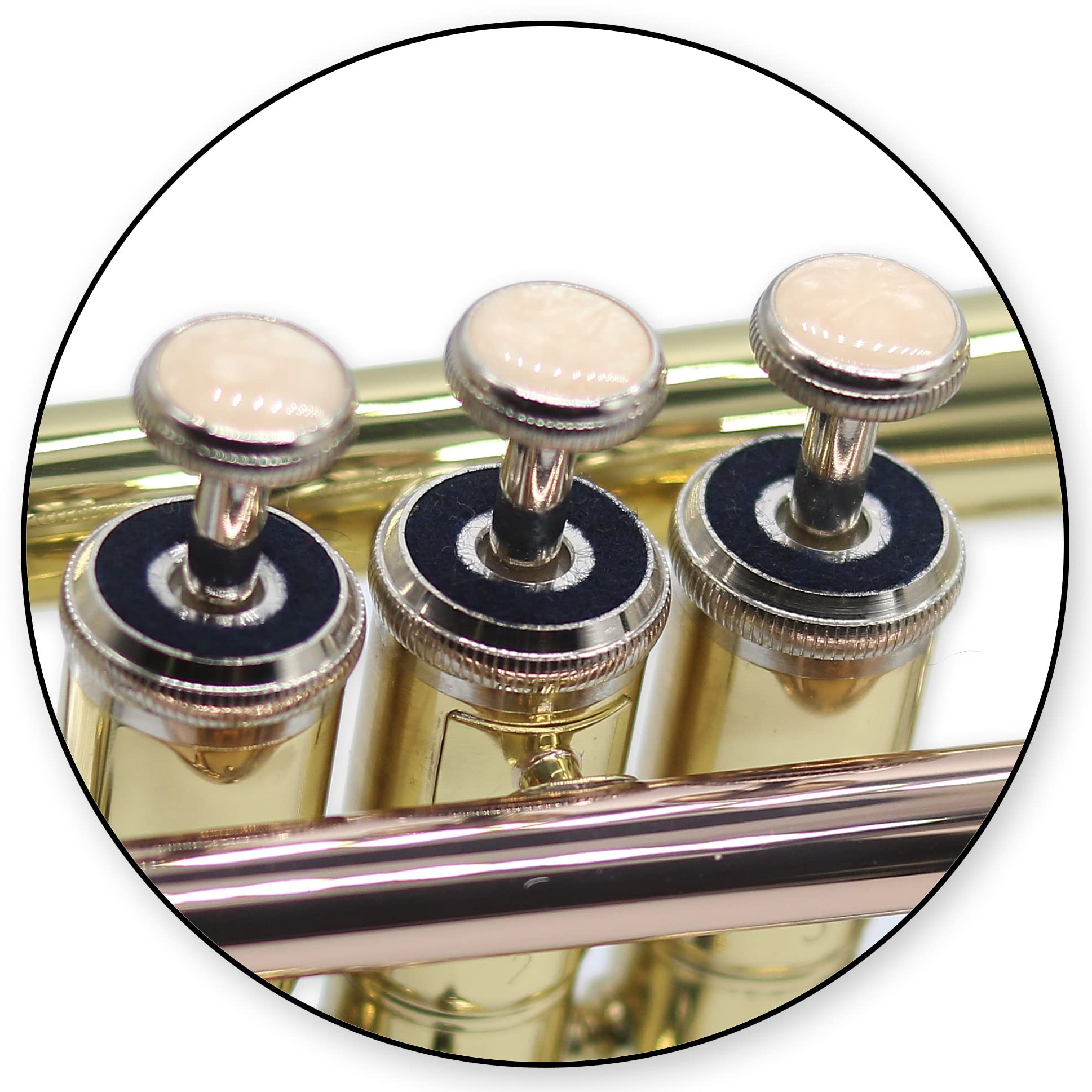 Trompette en sib TTR-171 en laiton - complète avec embouchure, étui, accessoires + méthode de trompette « Trumpet Basics »