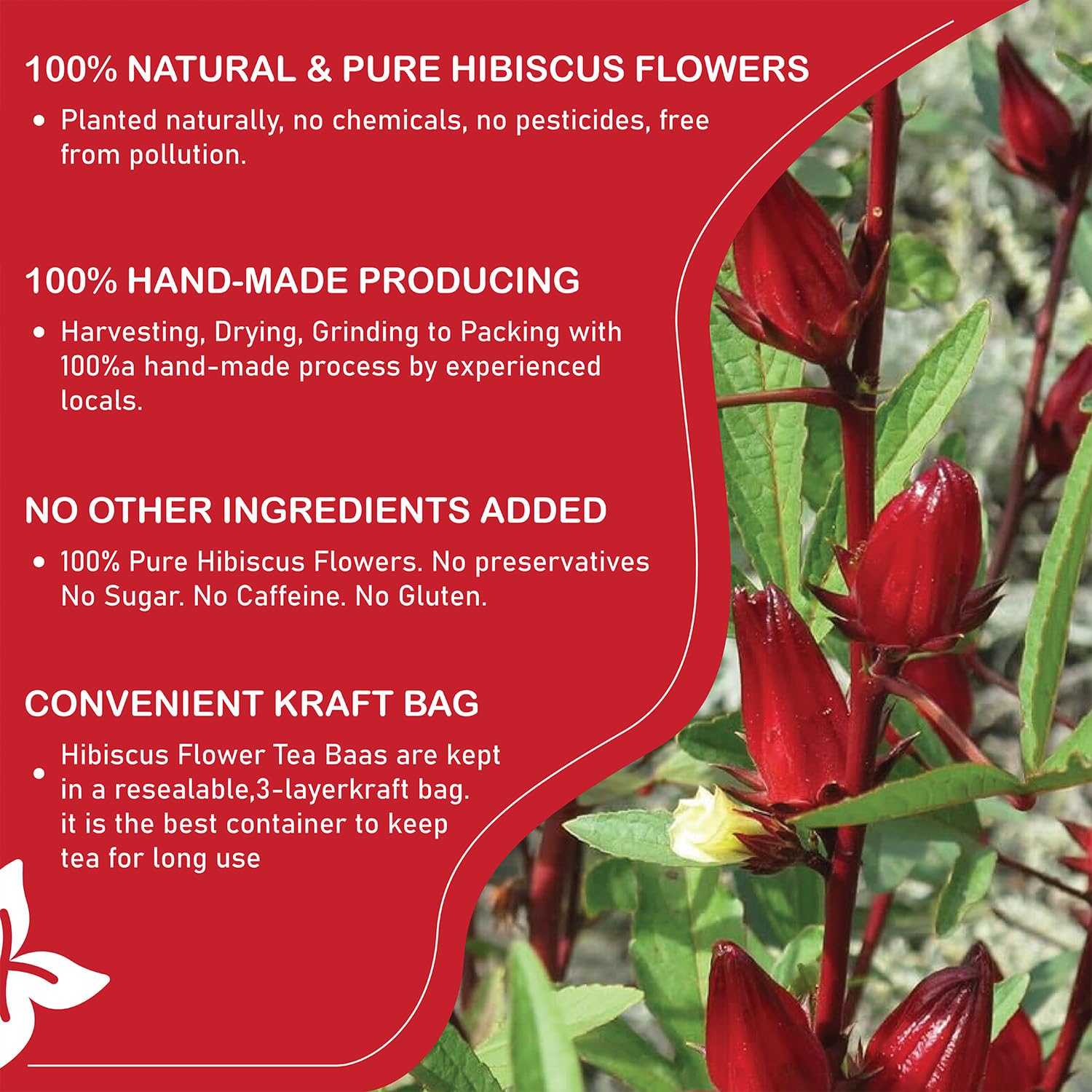 Premium Hibiscus Flowers Tea Bags - 100% Natural, Handmade, Pure Herbal Tea - No Sugar, Caffeine, or Gluten - Vegan Friendly (1) - Image 5