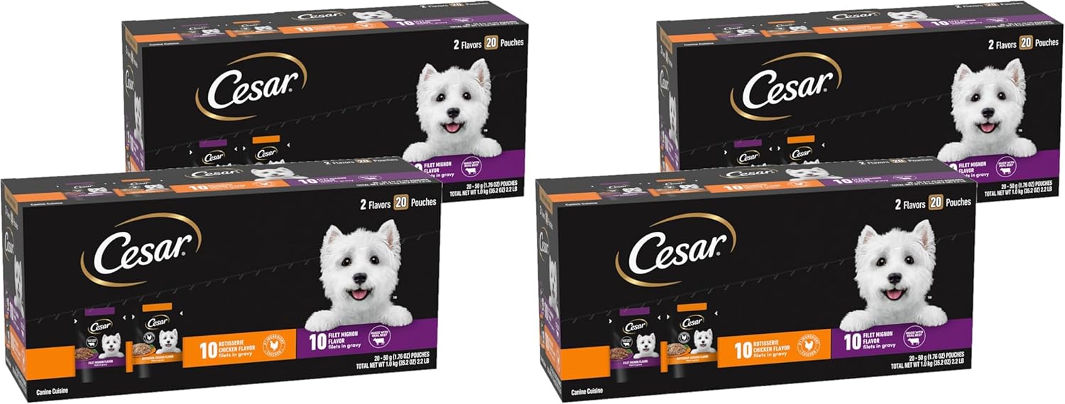 Cesar Filets in Gravy Wet Dog Food Filet Mignon Flavor and Rotisserie Chicken Flavor Variety Pack,Wet Food for Dogs,1.76 oz. Mini-Pouches,20 Count (Pack of 4)