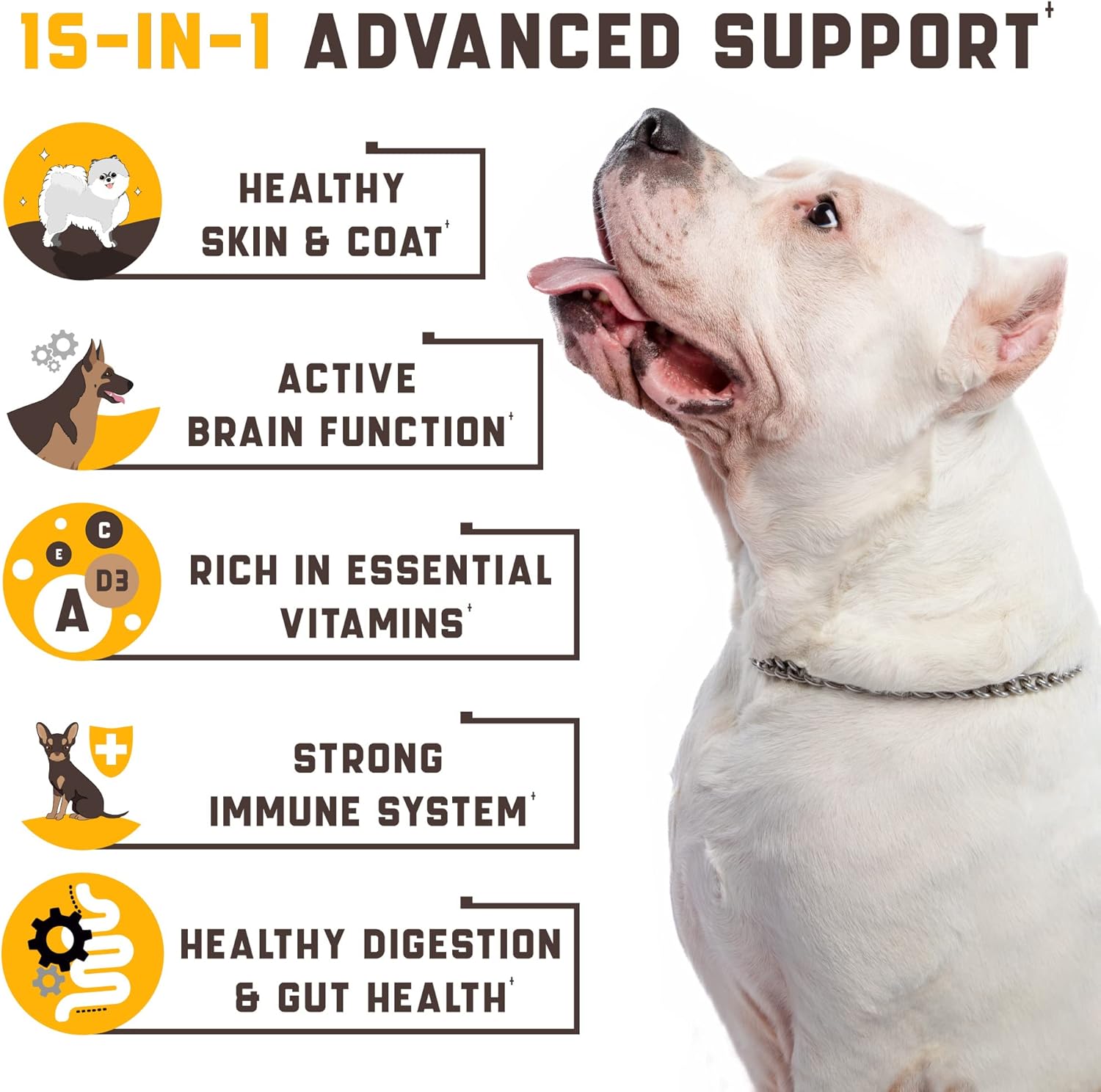 15-in-1 Dog Multivitamin Supplements - Immunity, Digestion, Joint and Heart Health Support - Natural Dog Vitamins with Biotin, Msm, Cranberry, Glucosamine for Dogs - 180 Soft Chews with Duck Flavor : Pet Supplies