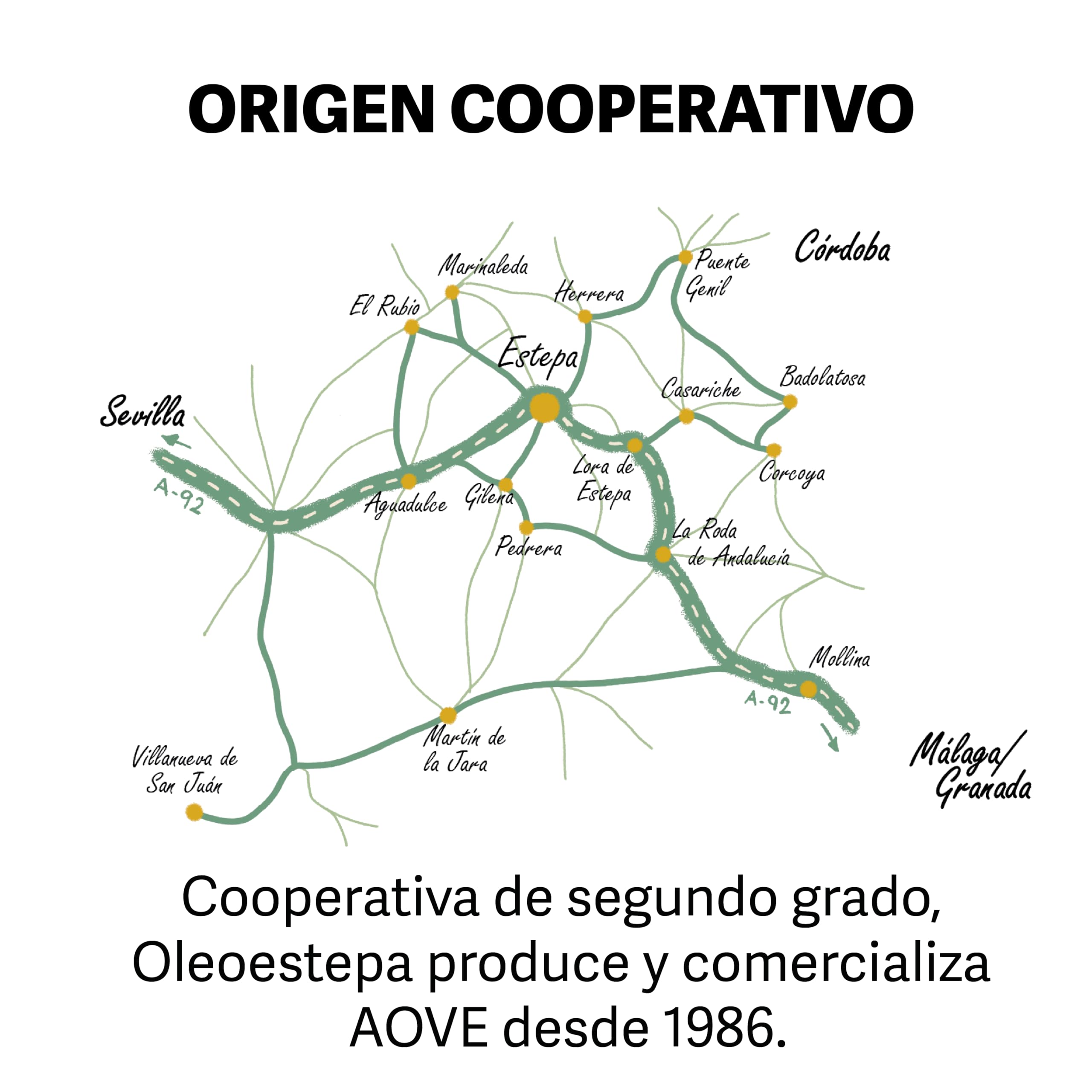 Oleoestepa Selección – Aceite de Oliva Virgen Extra Pack 12x0,50L – DOP Estepa – Extracción en frío – Variedades de la comarca – Frutado fresco – Producción sostenible – Uso arroces y repostería fina