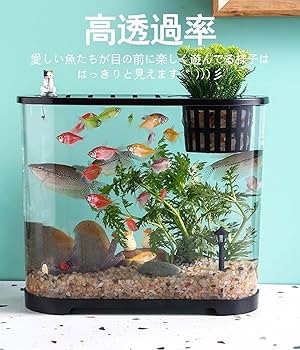 Amazon | SAQIANRE 水槽 小型 金魚鉢 ミニ水槽 高透過率 メダカ