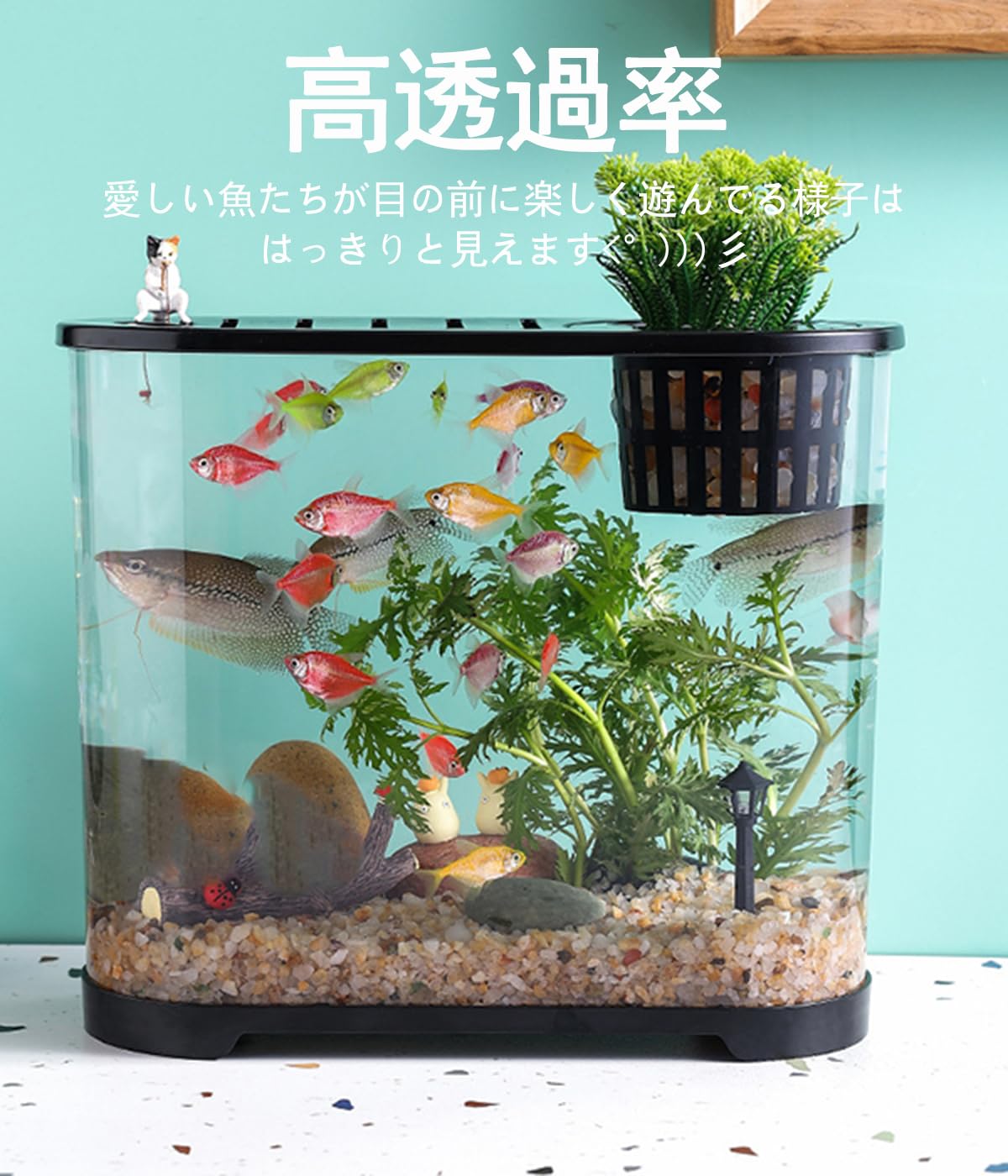 アクアリウム メダカアクアリウム「しずく」の風景 - YouTube