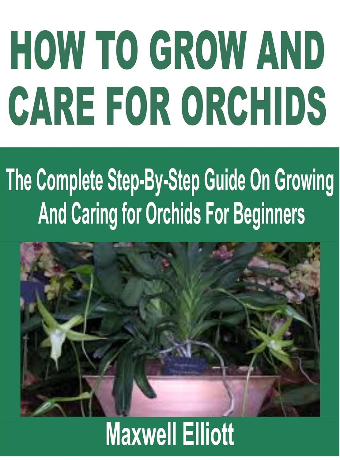 HOW TO GROW AND CARE FOR ORCHIDS: The Complete Step-by-Step Guide on Growing and Caring for Orchids for Beginners