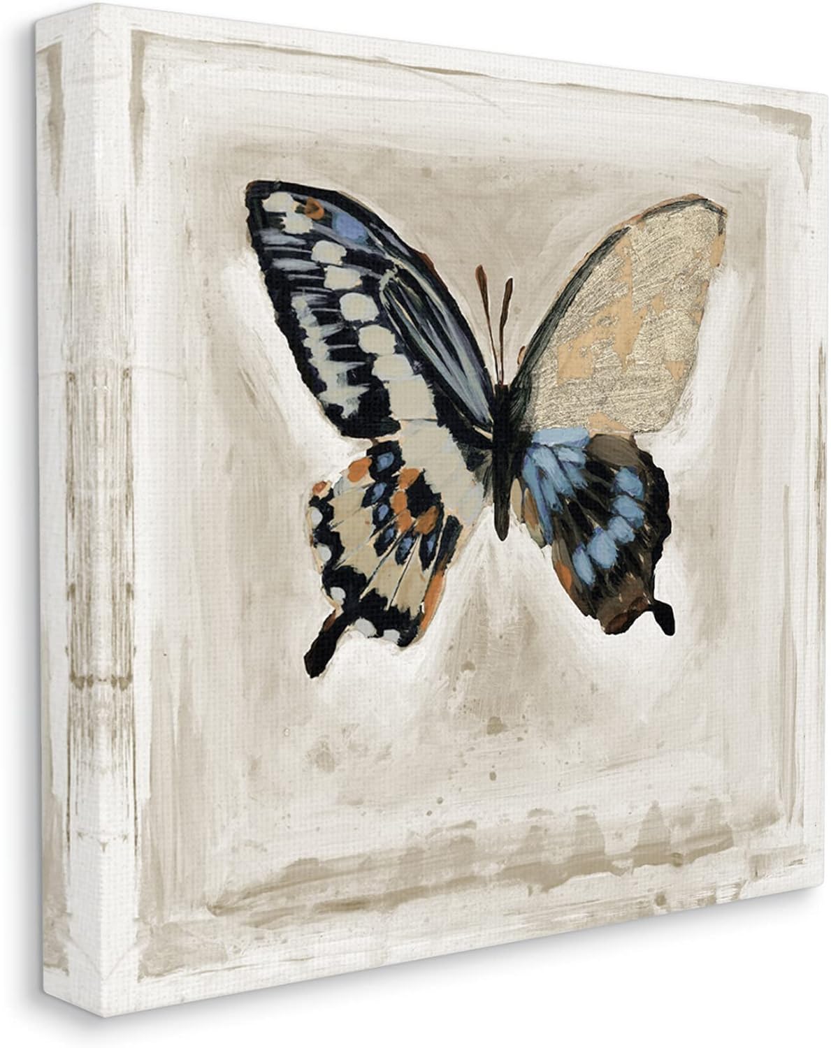 Stupell Industries Butterfly Wings Square Border Canvas Wall Art, Design by Stacy D'Aguiar