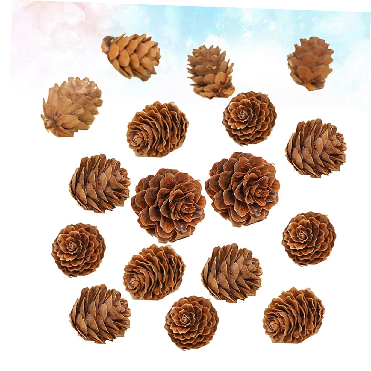 210piezas Decoraciones de Piñas Naturales Secas Piñas de Hogar Adorno Vegetal para Acción de Gracias y Navidad