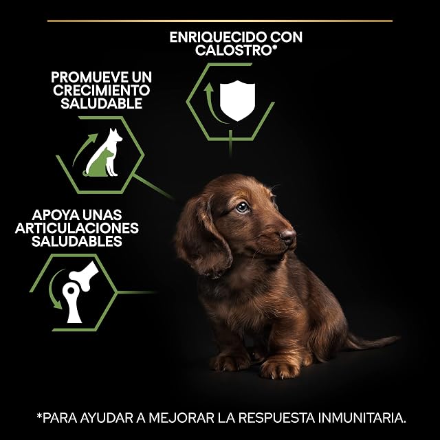 Foto 2 de 7 de Pro Plan Small&Mini Puppy Start pienso perro Cachorro con calostro 8x700 g