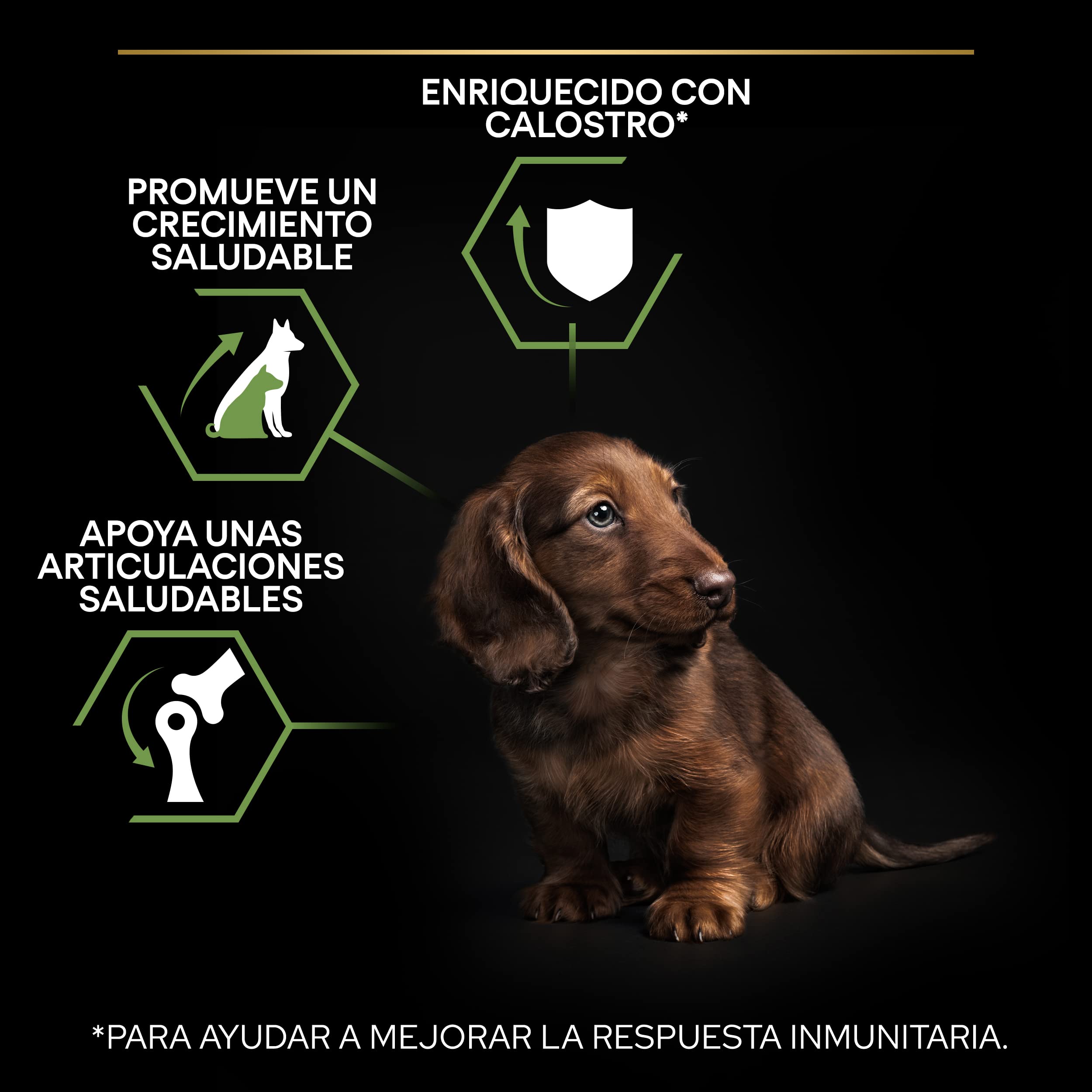 Pro Plan Small&Mini Puppy Start pienso perro Cachorro con calostro 8x700 g