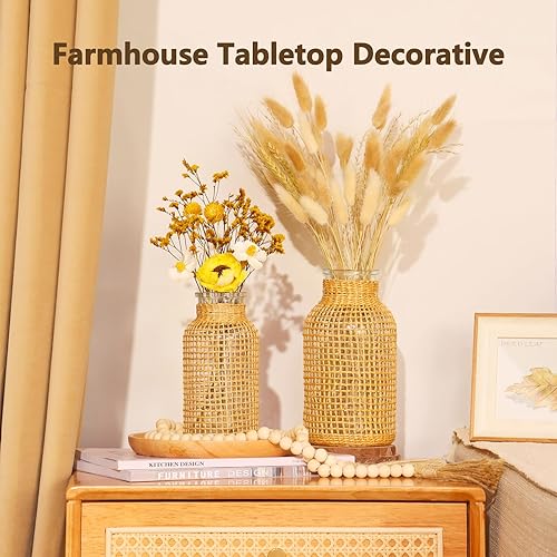 Miniatura 5 de ZENS Jarrón de cristal de granja, jarrón rústico tejido a mano para decoración del hogar con flores secas de pampas. Jarrones de vidrio decorativos