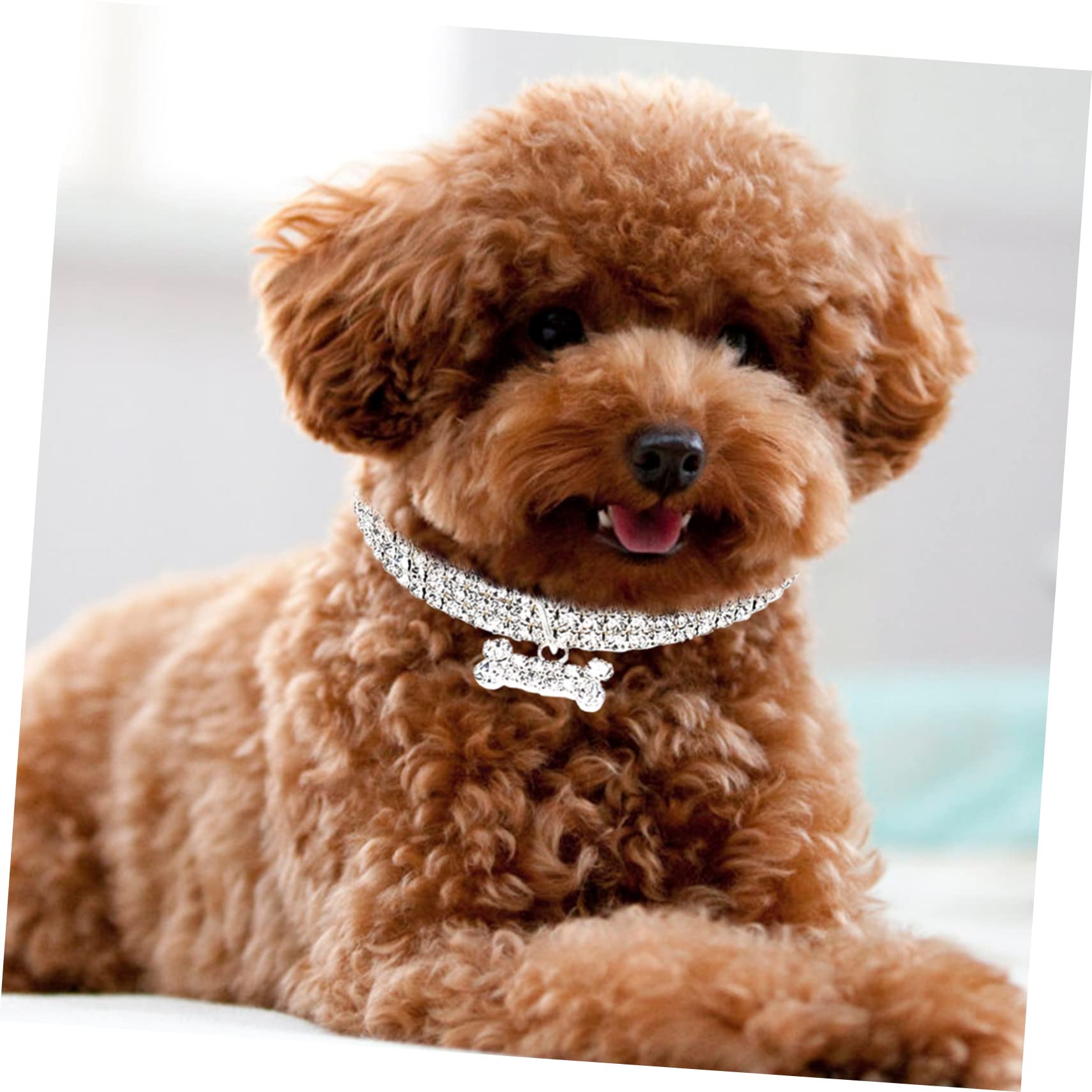 Housoutil 6pezzi Collana Decorativa Per Animali e Rhinestone Resistente All Usura Per Cani e Gatti Accessorio Elegante Per Festività e Occasioni Speciali