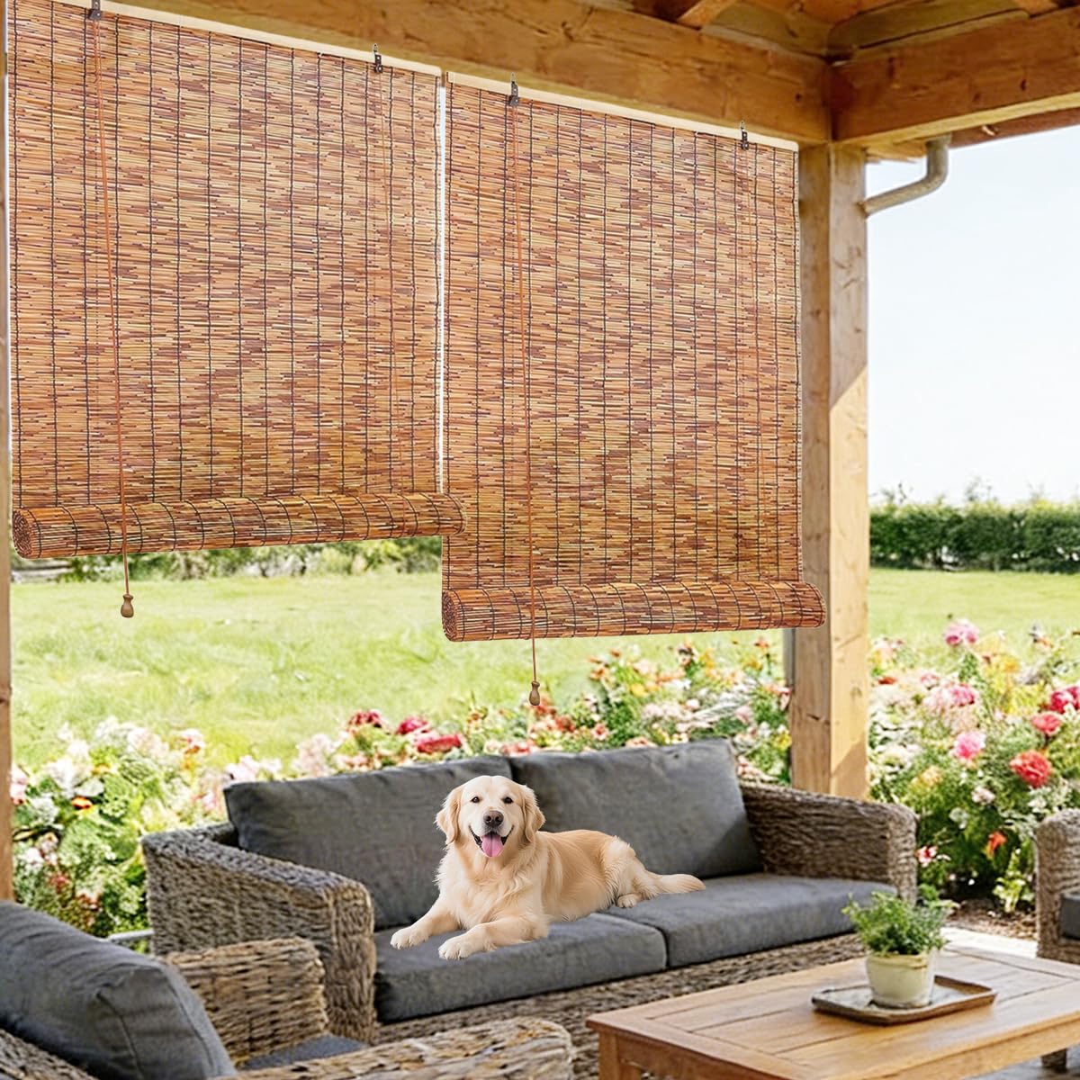 AYHSMNOU Outdoor Bamboo Blinds Bamboo Shades Outdoor Indoor Blackout Roller Blinds For Windows 65 80 95 115 130cm Reed Roll Up Curtain Easy To Install For Home Office Windows Patio Light-Filtering