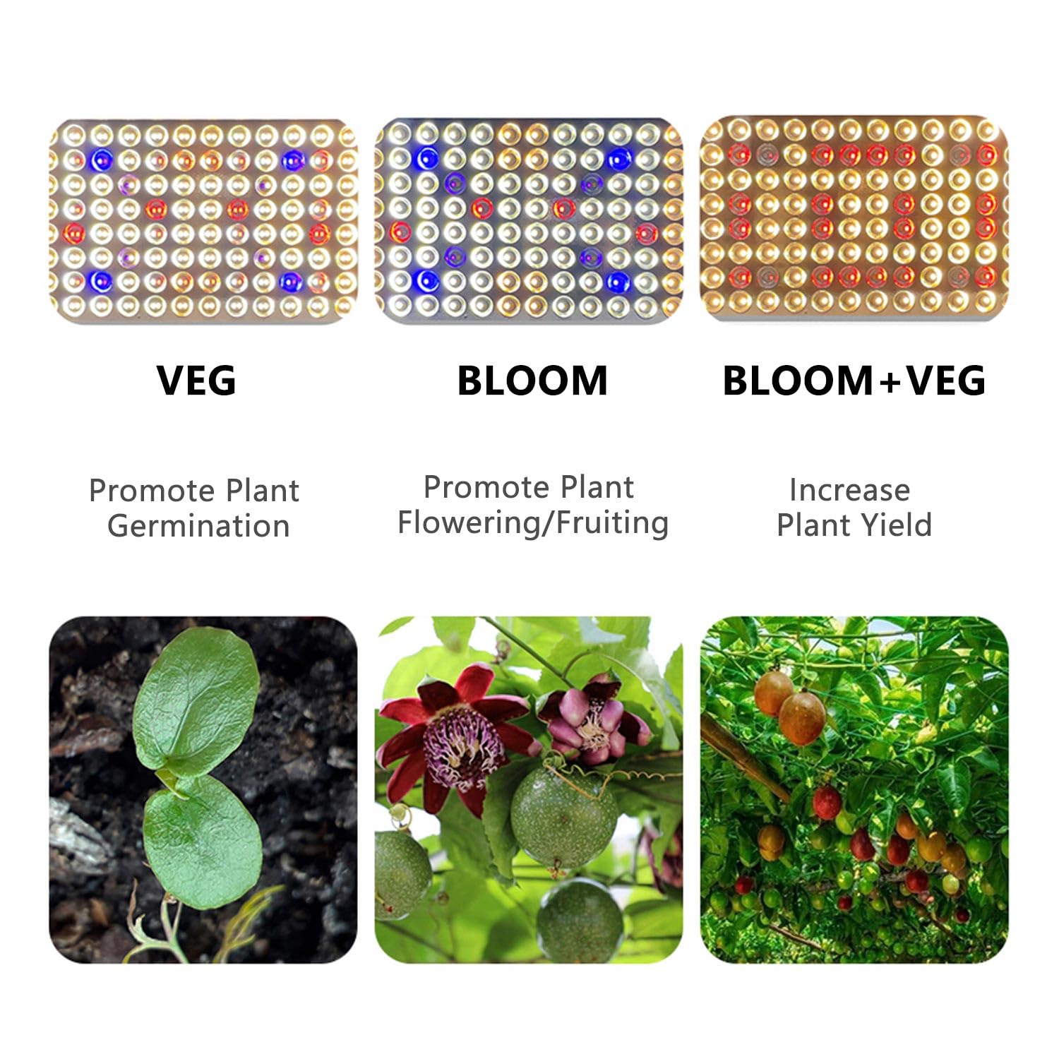 41W Full Spectrum LED Grow Light Pflanzenlampe mit Doppelschalter Veg/Bloom, 4566LM Double Chips LED Grow Lampe mit UV IR, für Gewächshaus und Indoor-Pflanzen, Gemüse und Blumen wach