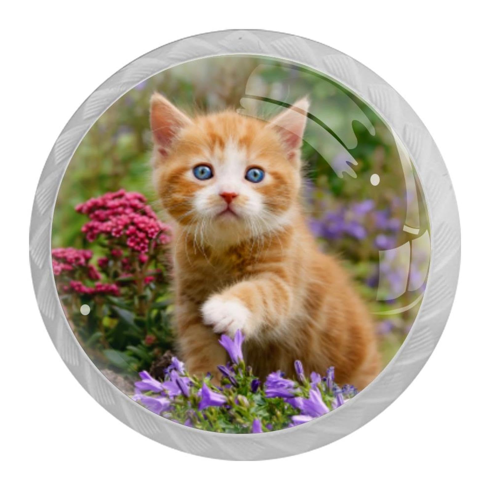 Tqmspg Multi Cute Cat