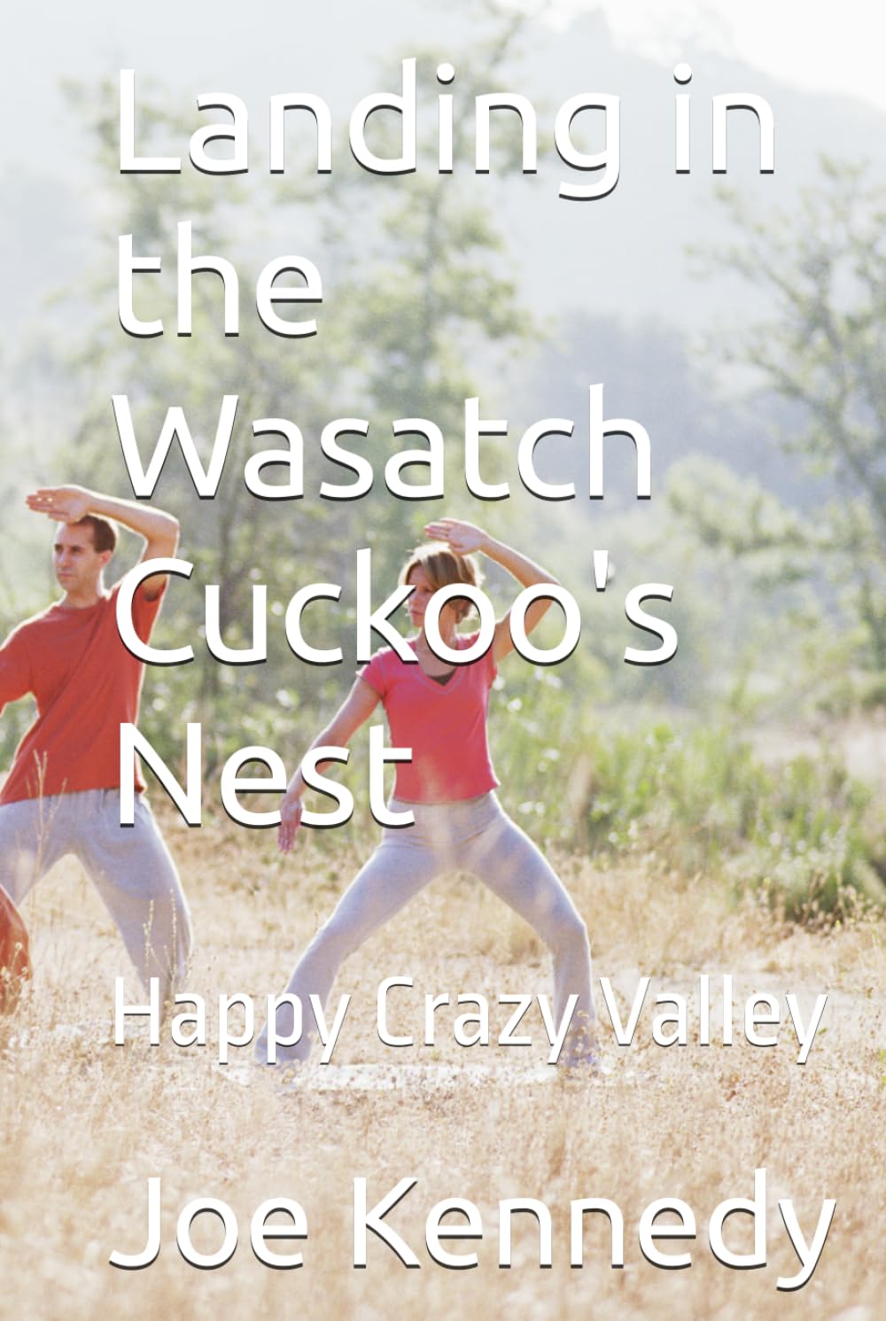 Landing in the Wasatch Cuckoo's Nest: Happy Crazy Valley